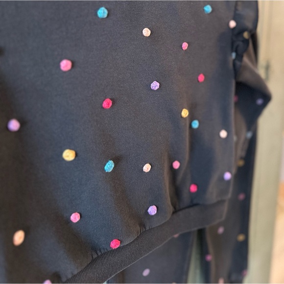 H&M Hand Embroidered Sweatshirt Set Colorful Roses - Picture 7 of 9